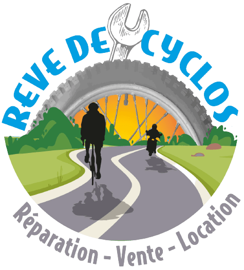 elecbiz Lyon - scooters &eacute;lectriques